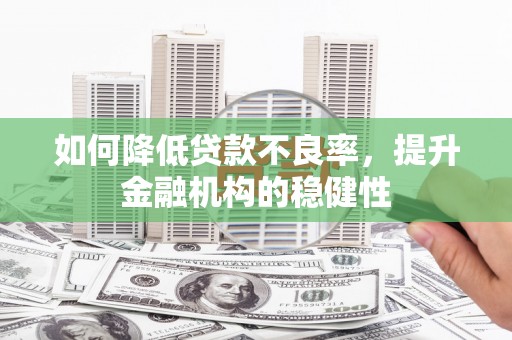 琼山如何降低贷款不良率，提升金融机构的稳健性