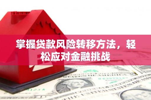 唐县掌握贷款风险转移方法，轻松应对金融挑战