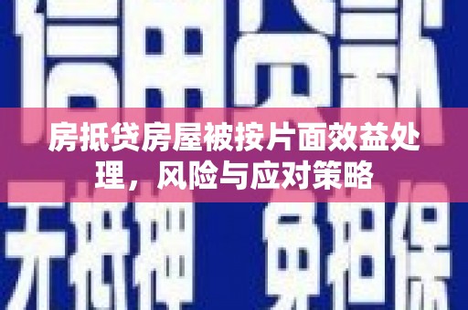 共和房抵贷房屋被按片面效益处理，风险与应对策略