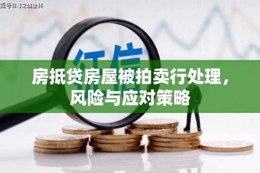 台北房抵贷房屋被拍卖行处理，风险与应对策略